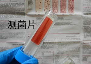 快速测菌片